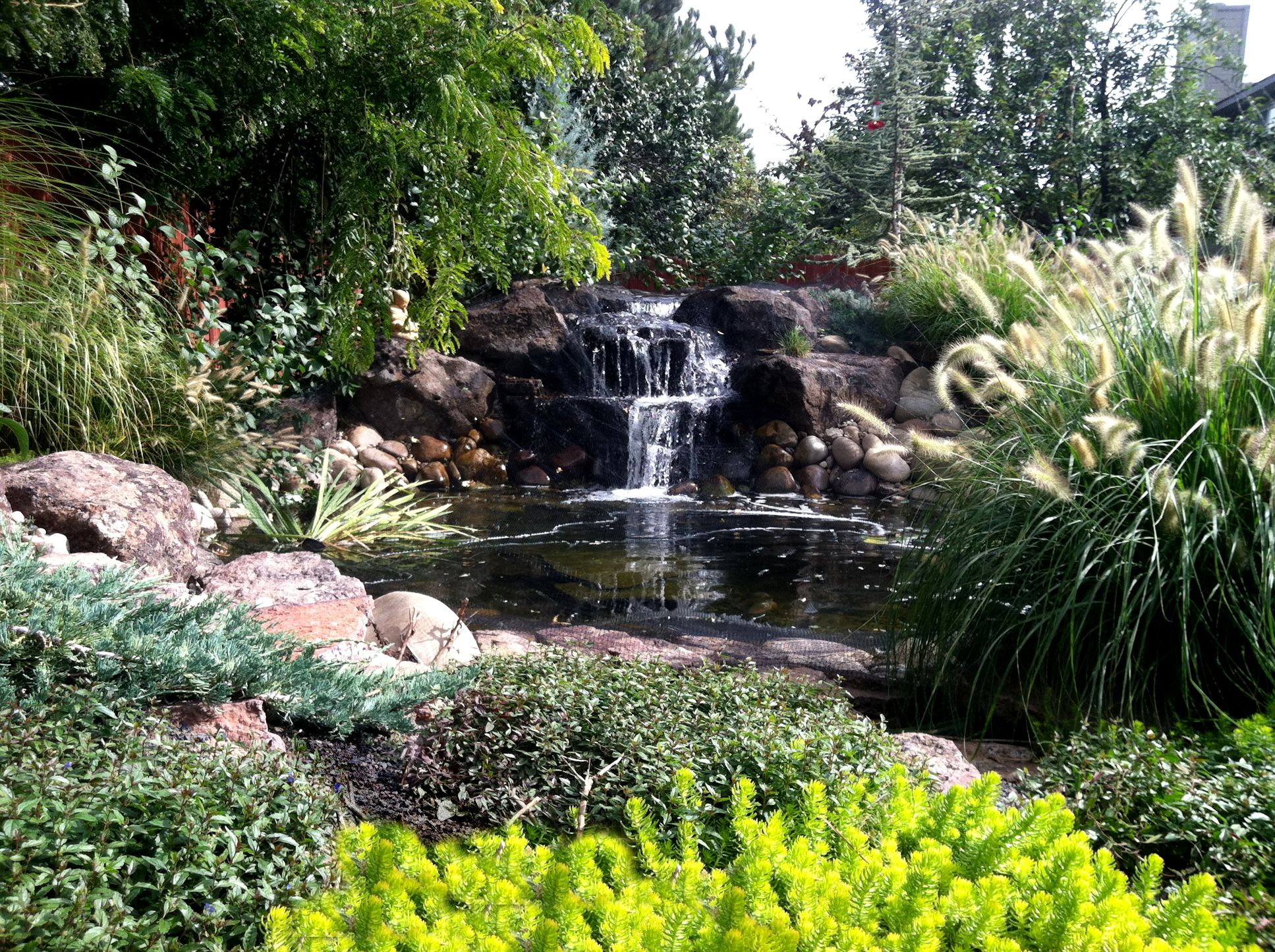 Secluded Backyard Waterfall - 1 | The Garden Artist Boise, ID